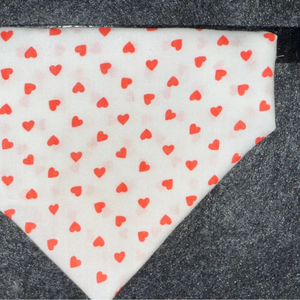 Van Gogh Inspired Dog Bandana with Cat Design